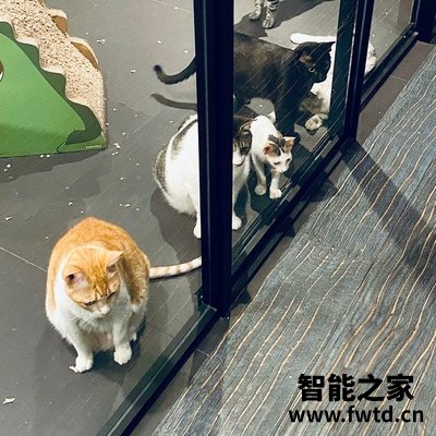 iRobot艾罗伯特i7+怎么样用后一周开始讲感受 iRobot艾罗伯特i7+怎么样用后一周开始讲感受