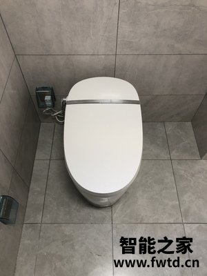 解密法恩莎卫浴智能马桶怎么样,测评一个月后感受!!!【缺点大吐槽 解密法恩莎卫浴智能马桶怎么样,测评一个月后感受!!!【缺点大吐槽
