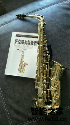 圣卡罗中音萨克斯SAS-24怎么样？一定不能被表面迷惑了！