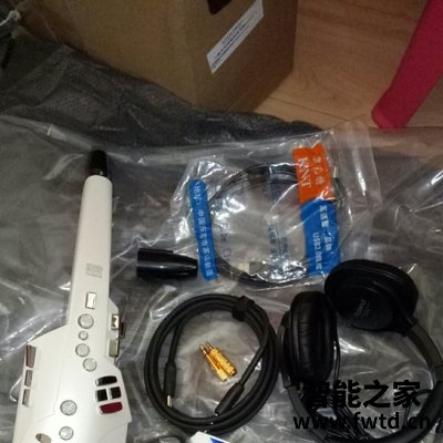 Roland罗兰电吹管乐器AE-10最新评价揭秘，当时没看亏大了！
