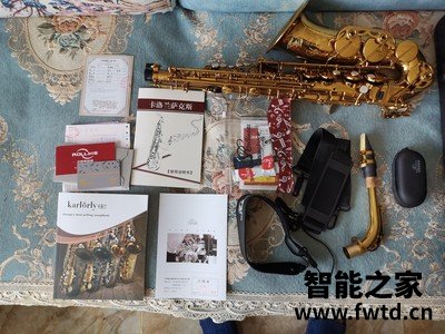 买了一个月说说罗林斯中音萨克斯卡洛兰a1怎么样？什么档次？