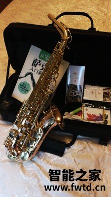 泰山TSAS-5000S磷铜萨克斯值得入手吗？？小白新手求助！