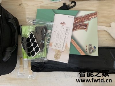 泰山TSAS-5000S磷铜萨克斯值得入手吗？？小白新手求助！