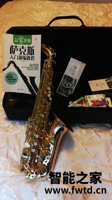 泰山TSAS-5000S磷铜萨克斯值得入手吗？？小白新手求助！