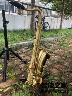 很想知道法国罗林斯萨克斯乐器X5怎么样？使用感受遇鬼如何？