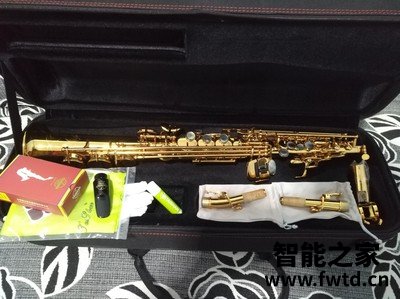听说泰山高音萨克斯TSSS-750质量很坑是真的？有人上当吗？
