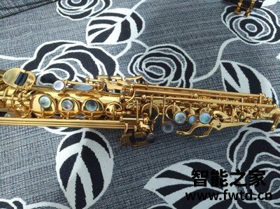 听说泰山高音萨克斯TSSS-750质量很坑是真的？有人上当吗？