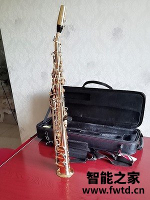 听说泰山高音萨克斯TSSS-750质量很坑是真的？有人上当吗？