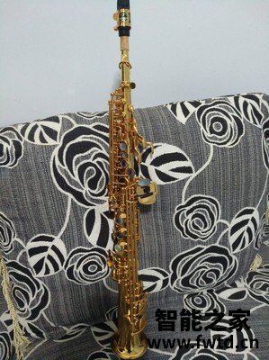 听说泰山高音萨克斯TSSS-750质量很坑是真的？有人上当吗？