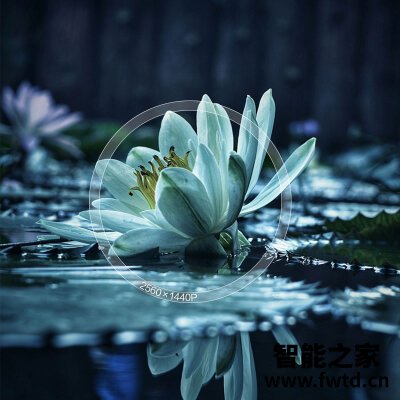 纠结：创维27x2q和27x1q区别哪个好点？？使用真实说说！！
