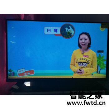 使用感受：TCL65T88D怎么样？深度测评质量如何！！ 