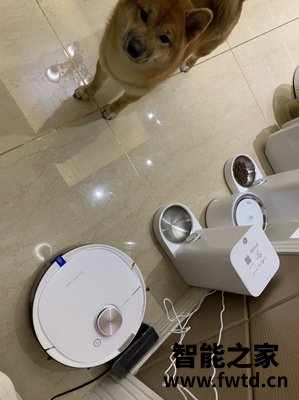 科沃斯地宝T8MAX怎么样?被忽悠了玩的文字游戏经历? 