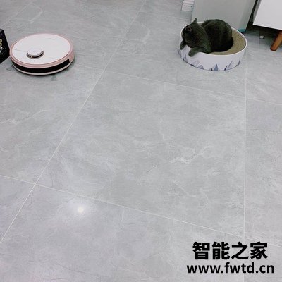 科沃斯地宝N8怎么样，说什么想率后悔是假的？ 
