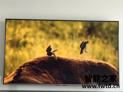 入手讨论分析索尼z8h和z9g哪个好？说说优缺点