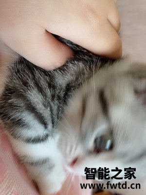 布鲁雅尔空气净化器550E怎么样缺点多吗？吐露优缺点，还原真相！ 