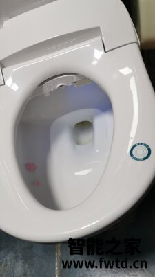 真相求知:飞利浦智能马桶盖怎么样?分析质量差不差呢? 真相求知:飞利浦智能马桶盖怎么样?分析质量差不差呢?