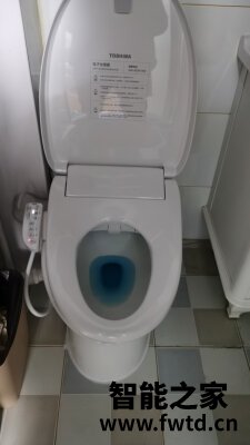 真相求问:东芝智能马桶盖怎么样?分析质量差不差 真相求问:东芝智能马桶盖怎么样?分析质量差不差