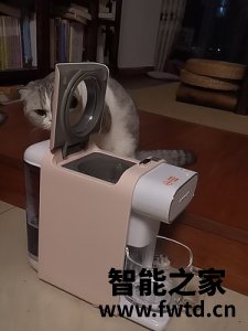 九阳豆浆机报价,九阳破壁免洗豆浆机好不好 