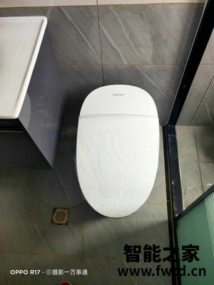 质量揭露飞利浦智能马桶怎么样好不好?真实体验【评测】 质量揭露飞利浦智能马桶怎么样好不好?真实体验【评测】