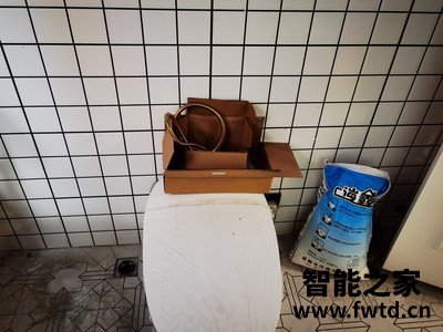 质量揭露飞利浦智能马桶怎么样好不好?真实体验【评测】 质量揭露飞利浦智能马桶怎么样好不好?真实体验【评测】