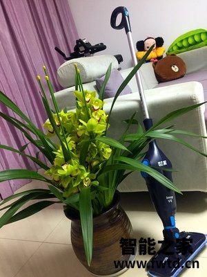 重点分析世家吸尘拖把怎么样?使用评价世家吸尘拖把好不好? 重点分析世家吸尘拖把怎么样?使用评价世家吸尘拖把好不好?