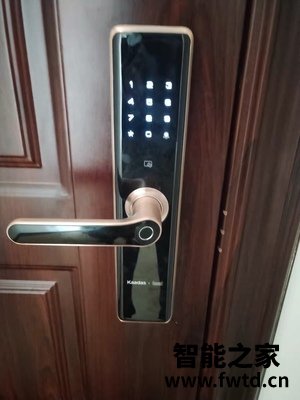 客观评价凯迪仕智能锁F1怎么样,使用一个月后实话!!!【反馈大知道