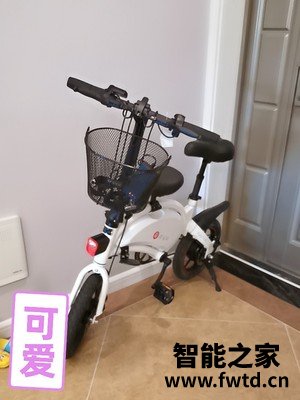 大鱼亲子电动自行车真实调查报告，不看后悔