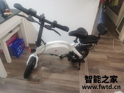 大鱼亲子电动自行车真实调查报告，不看后悔