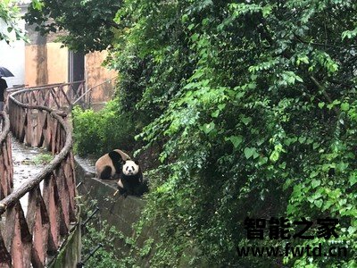 创维75A7怎么样,真的别被忽悠!【揭秘大感受