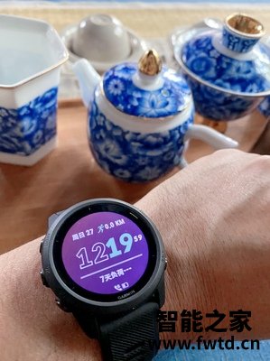 问清楚佳明 Forerunner 745智能运动手表怎么样？好几千元！