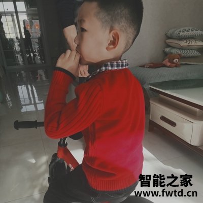 德国shiphop 1-3-6岁宝宝平衡车真实调查报告，不看后悔