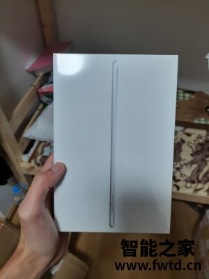 真实感受：iPad mini 5怎么样,测评一个月后缺点!!!【真实大吐槽