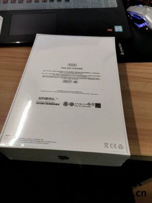 大家评测：iPad mini怎么样,使用一个月后真相!!!【感受大揭秘
