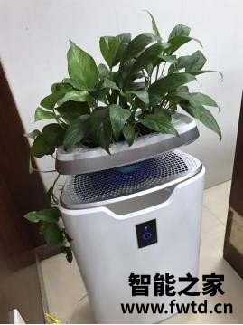 提醒幸福森林空气净化器怎么样,评论一个月后感受!!!【实话大爆料