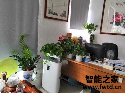 交流幸福森林森林王空气净化器怎么样,点评一个月后感受!!!【内幕大揭露