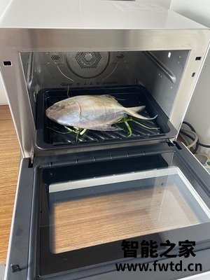 问题松下TM210蒸烤箱怎么样,吐槽一个月后感受!