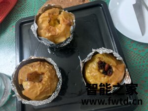 不好点评松下电烤箱NU-JA101W 