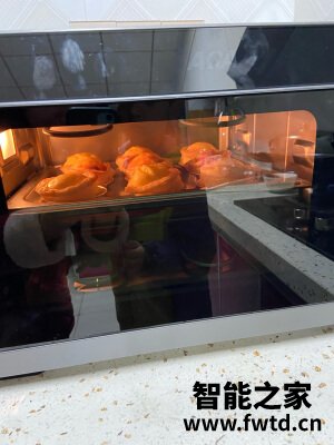 北美电器蒸烤箱ATO-ES25A买了？ 