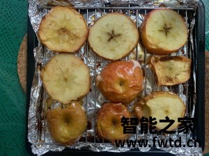 松下电烤箱NU-JA101W看 