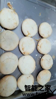 来评测下：凯度SV5624EEJ-GP蒸烤箱评测揭秘价格值不值！ 