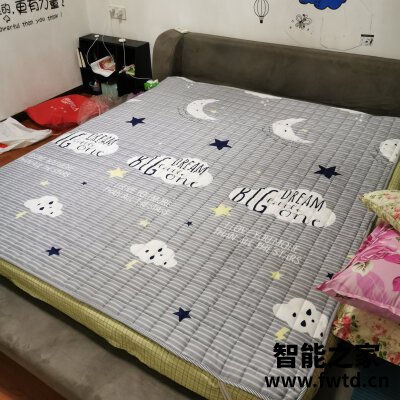 说说区别泰嗨和泰妃尔区别很小么，都说说选择哪个好些！ 