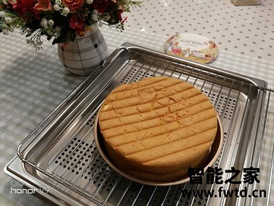 真实入手西门子CD273GBS0W蒸箱怎么样，评测分析结果参考！ 