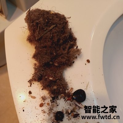 分享：科沃斯地宝T8 AIVI+怎么样？看看大家怎么说的！！ 
