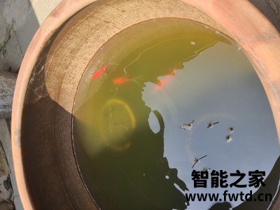用了:松下nu-ja180w蒸烤箱好吗怎么样,一星期经验分享!优缺点如何! 用了:松下nu-ja180w蒸烤箱好吗怎么样,一星期经验分享!优缺点如何!