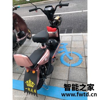 详细剖析入手台铃虎贲和雅迪g5哪个好用?看这一篇就够了! 详细剖析入手台铃虎贲和雅迪g5哪个好用?看这一篇就够了!