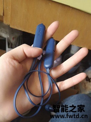 达人爆料索尼c310和漫步者lollipods哪个好？评测结果不看后悔 