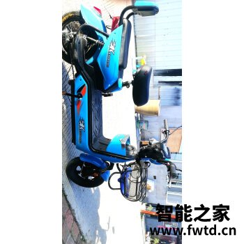 大家入手感受台铃豹子和狮子哪个更好？？入手3周说说我的感受 