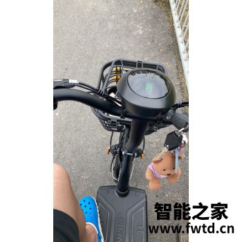 大家入手感受台铃豹子和狮子哪个更好？？入手3周说说我的感受 