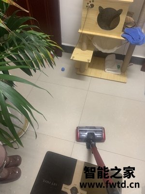 追觅v11和戴森v8区别如何,哪个好?入手三周真相分享! 追觅v11和戴森v8区别如何,哪个好?入手三周真相分享!