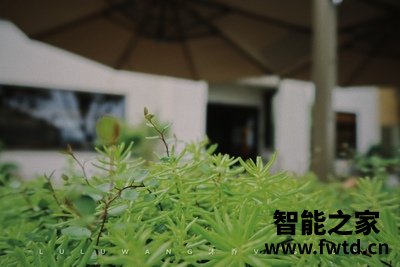 佳能 PowerShot G7 X Mark III g7x3真实感受揭秘 